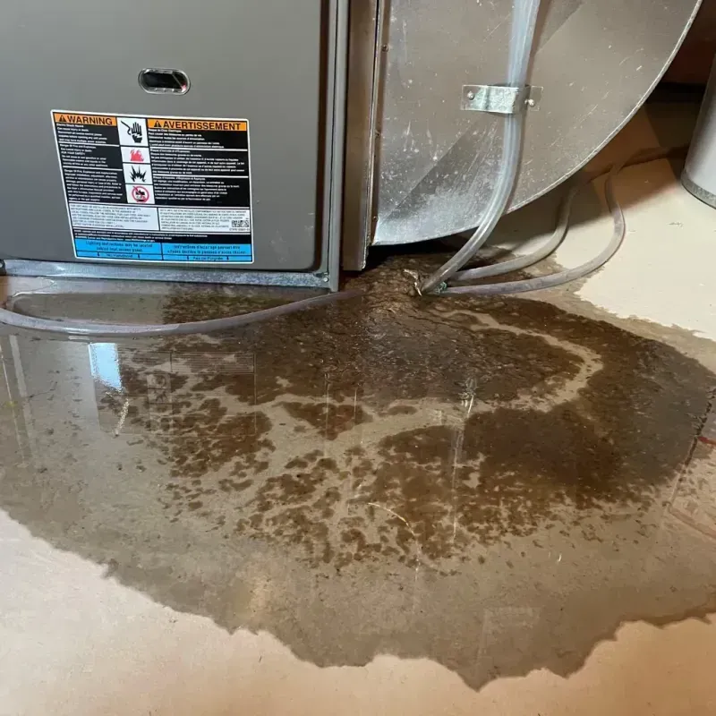 Appliance Leak Cleanup in Spencerville, MD